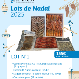 LOT N1